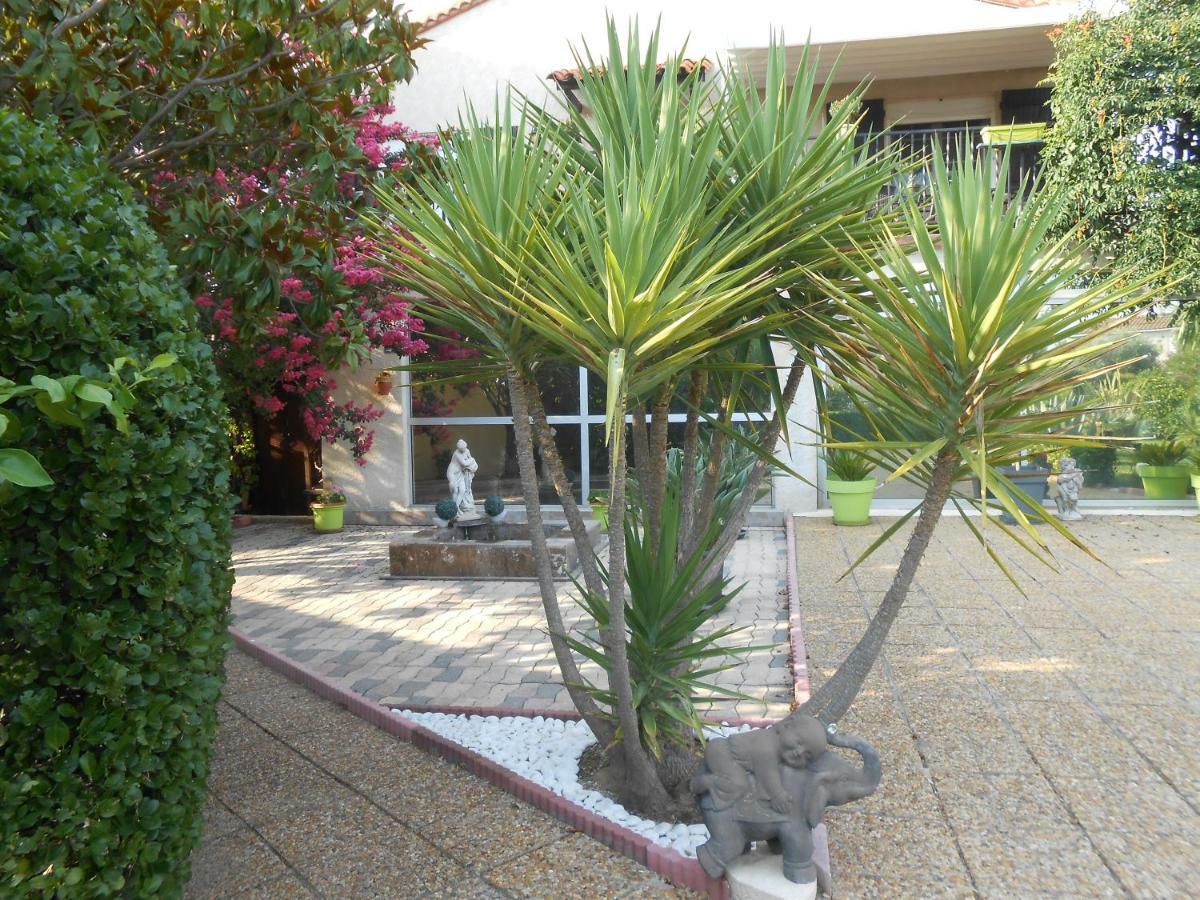 Maison Monica Exeptionnel-Jardin Paysage Zen Coursan Exteriér fotografie